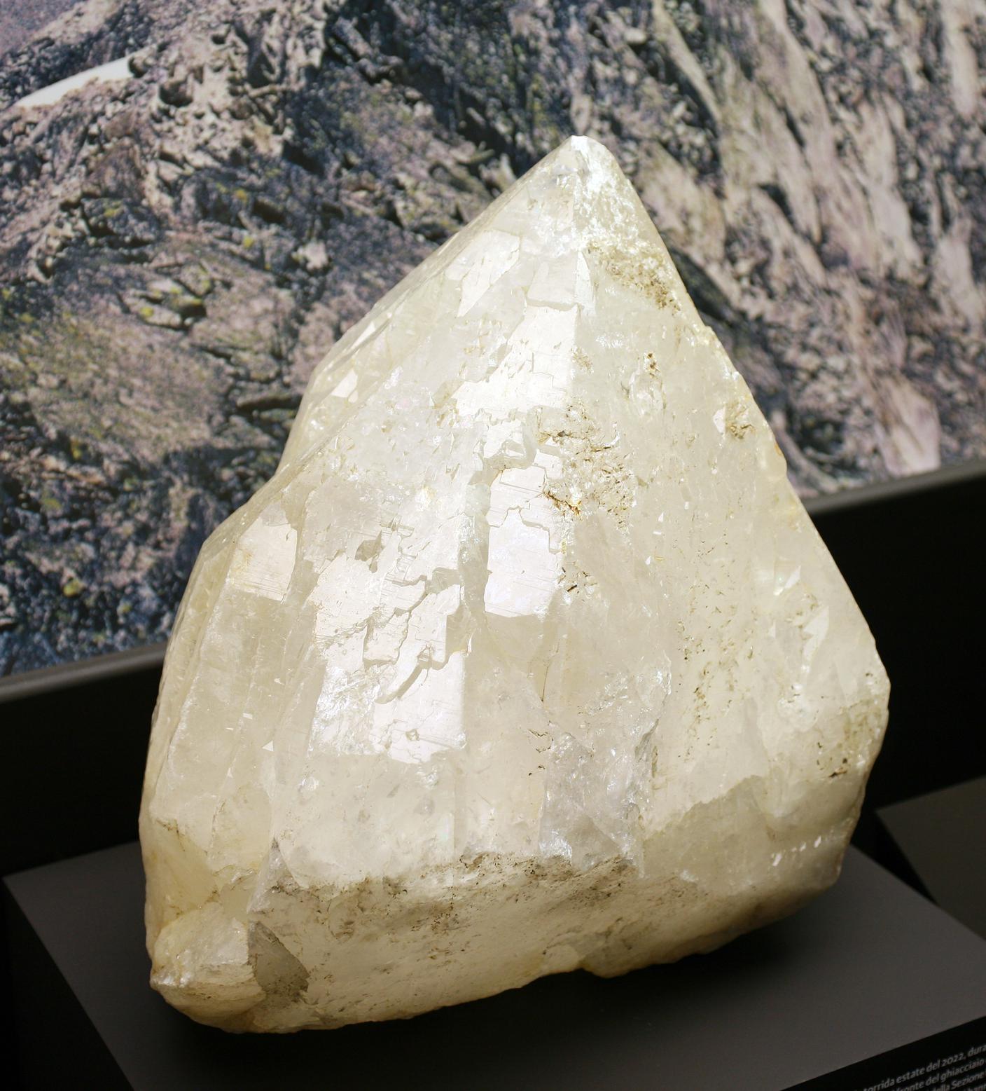 Il cristallo, ora esposto al Museo cantonale di storia naturale