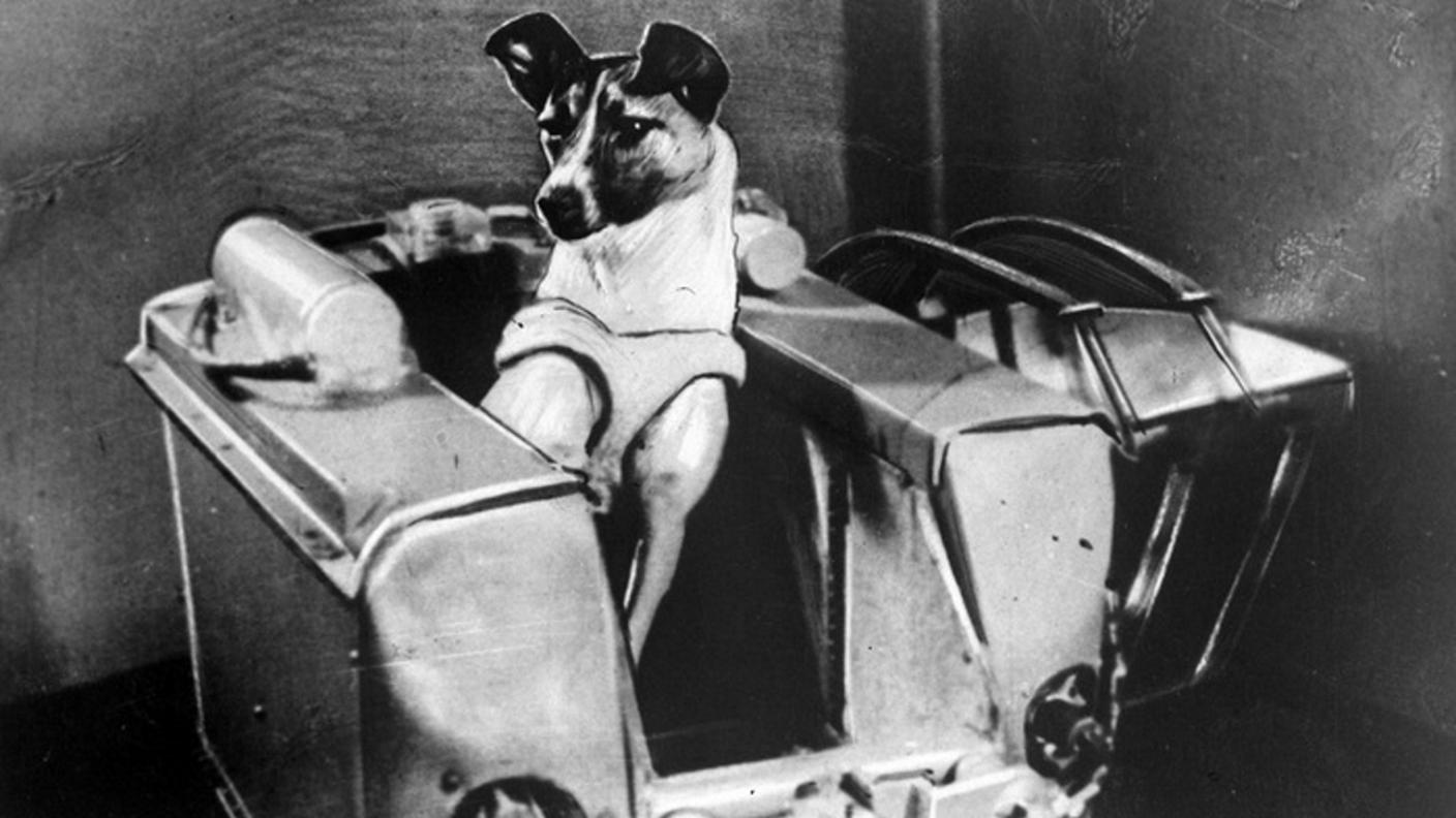 La cagnolina morì probabilmente poco dopo il lancio nello spazio