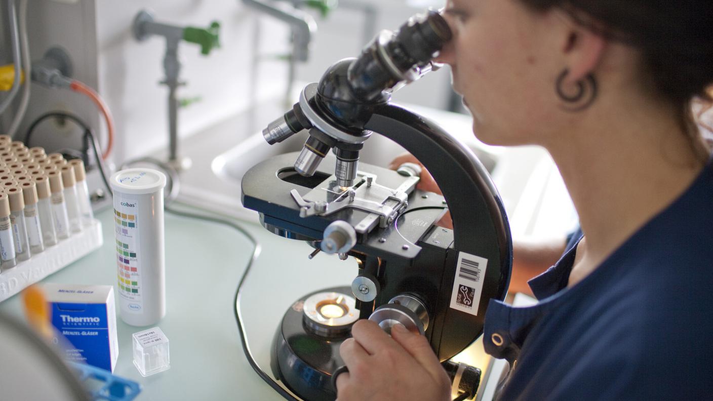 Ricerche di laboratorio molto promettenti