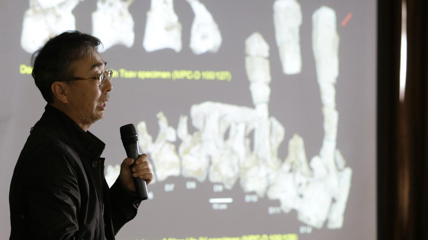 Yuong-Nam Lee, direttore del museo geologico di Daejeon