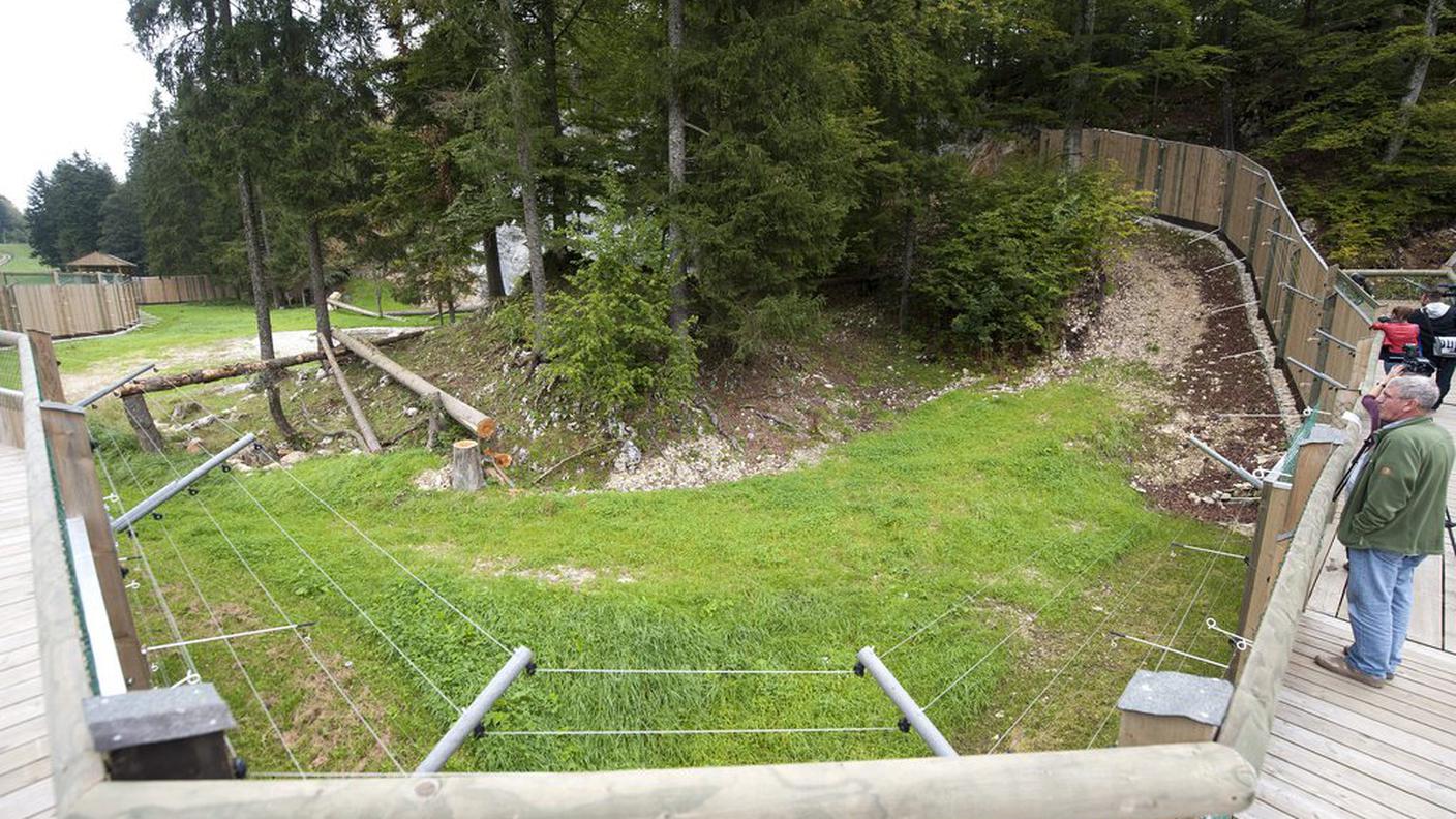 In trasferta da Berna, troveranno qui provvisoria accoglienza