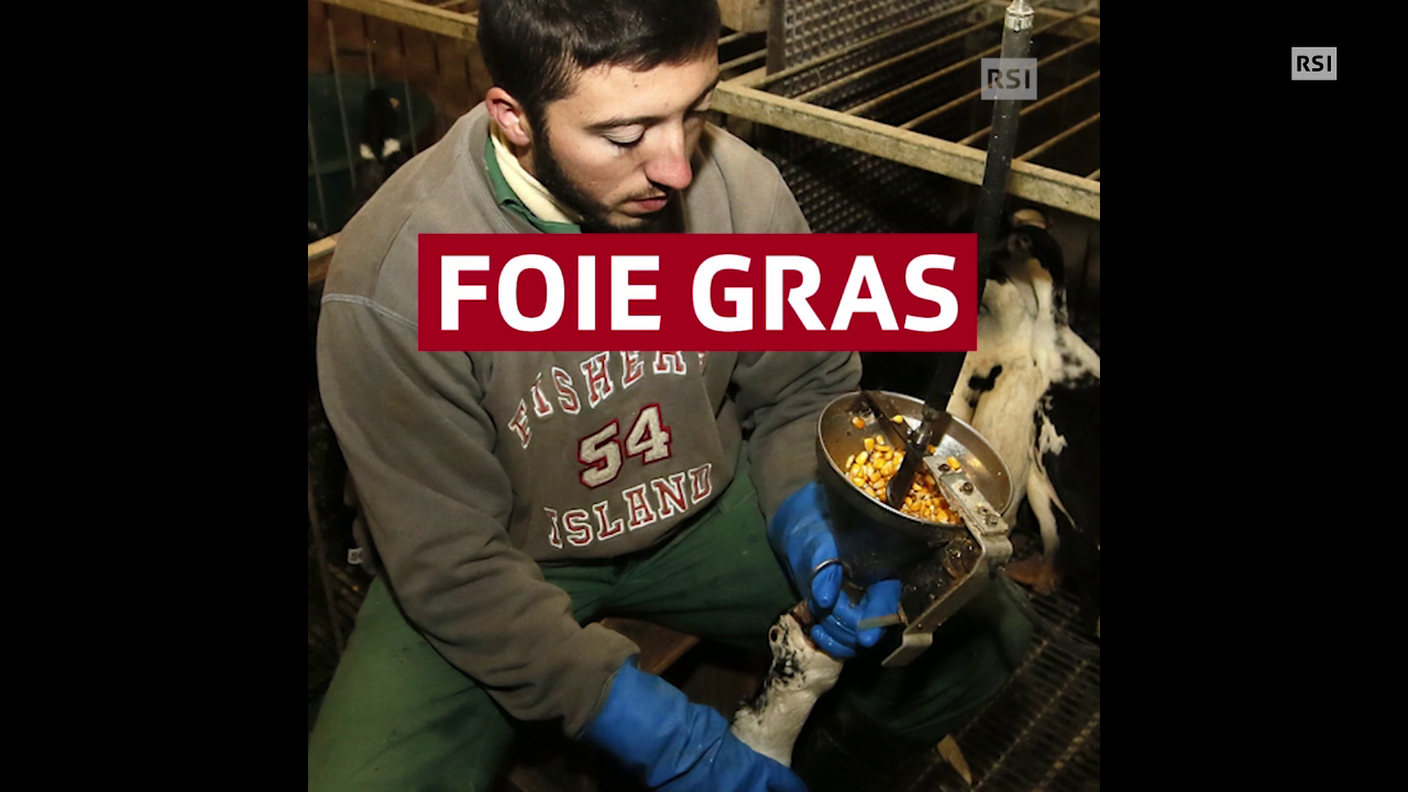 Il foie gras resterà sul desco