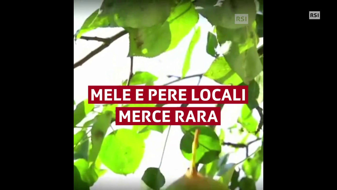 Pere svizzere quasi esaurite