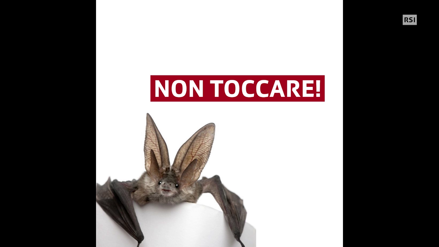 Rabbia, due svizzeri a rischio