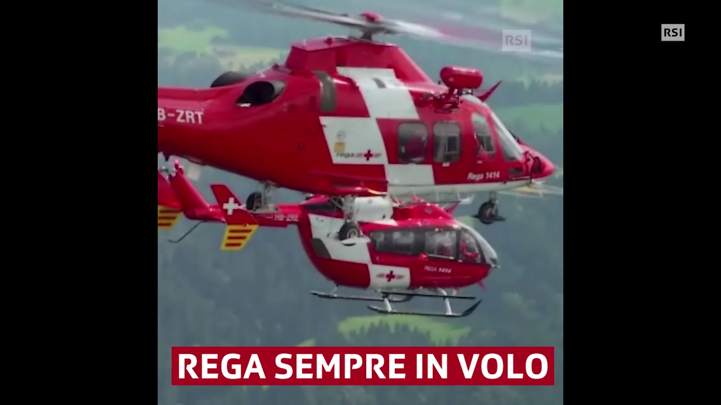 REGA impegnata come non mai