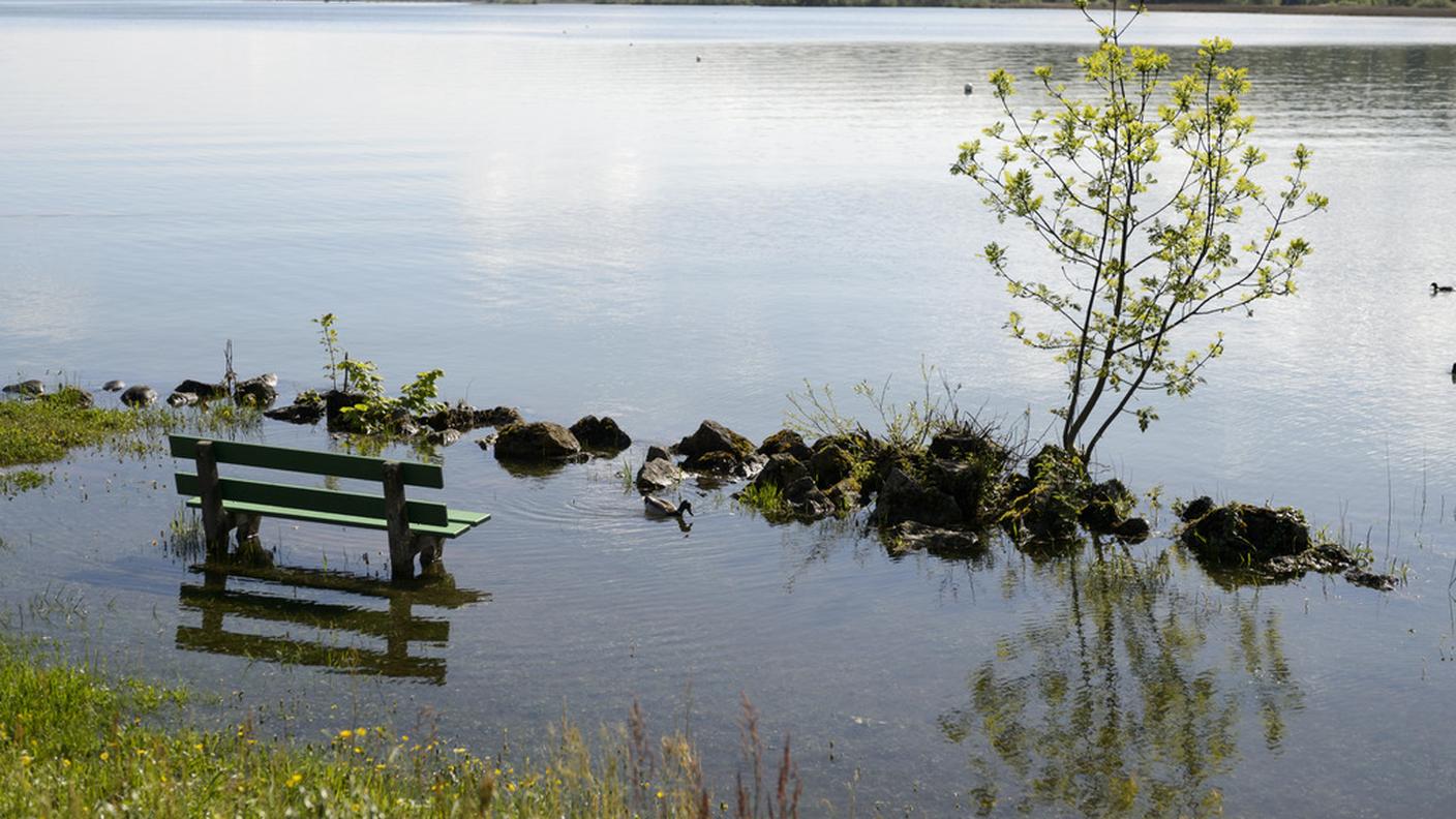 Riva sommersa a Yverdon