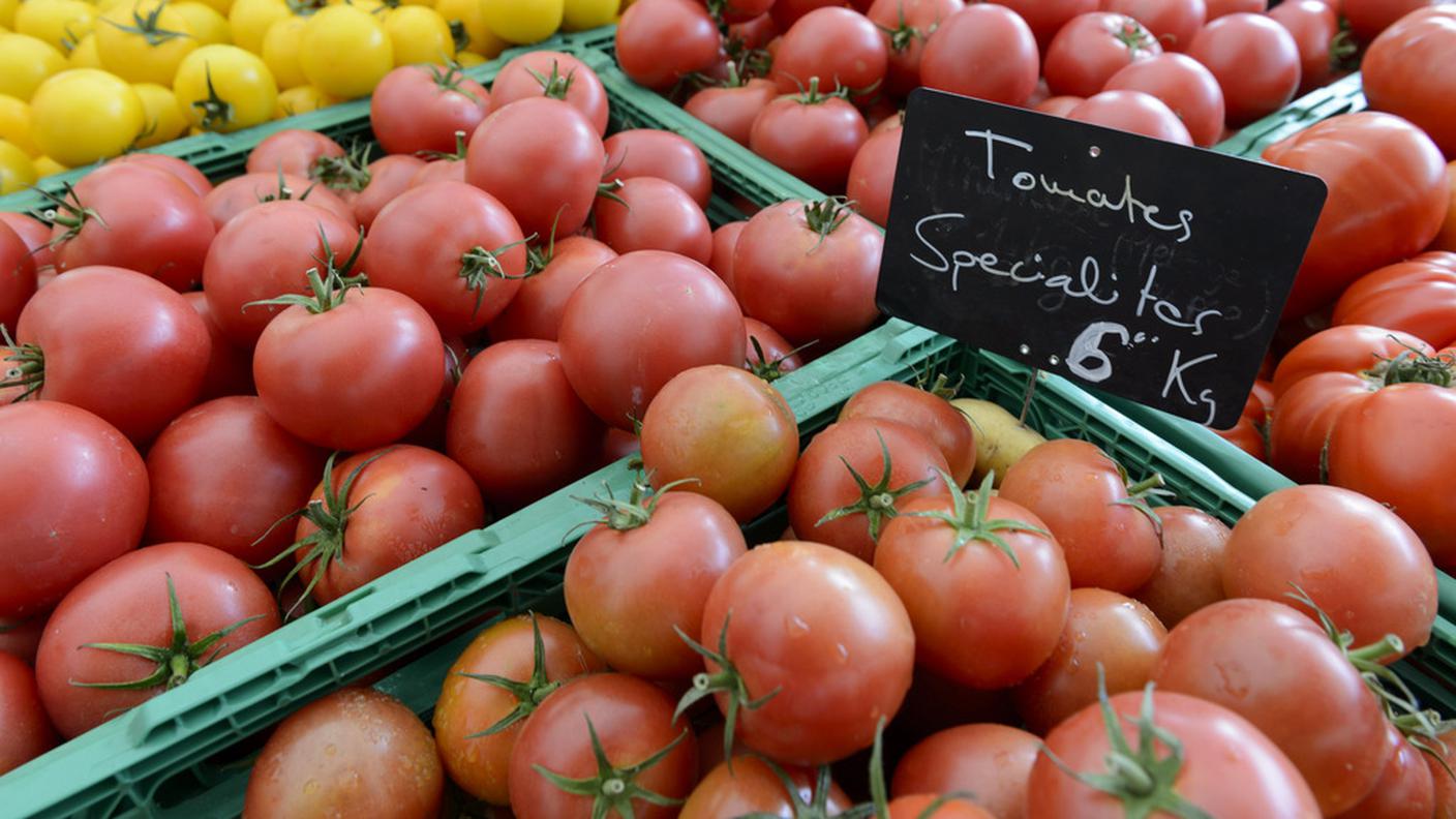 La canicola ha degli effetti positivi sulla maturazione dei pomodori