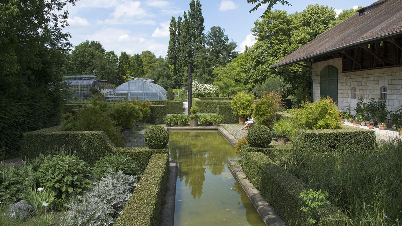 Il verde in centro città: i Merian Garten