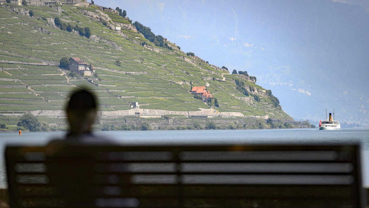 Nei vigneti romandi meno uva, ma la qualità si annuncia eccellente