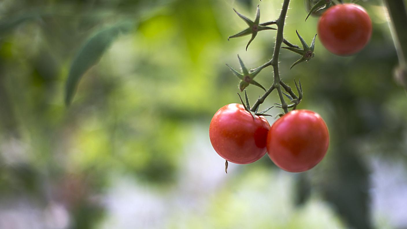 Con il caldo aumentano i prezzi delle verdure
