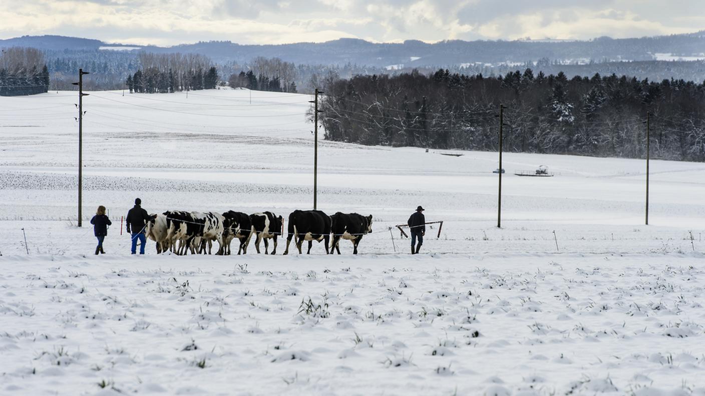 Il suggestivo paesaggio di Baulmes, nel canton Vaud