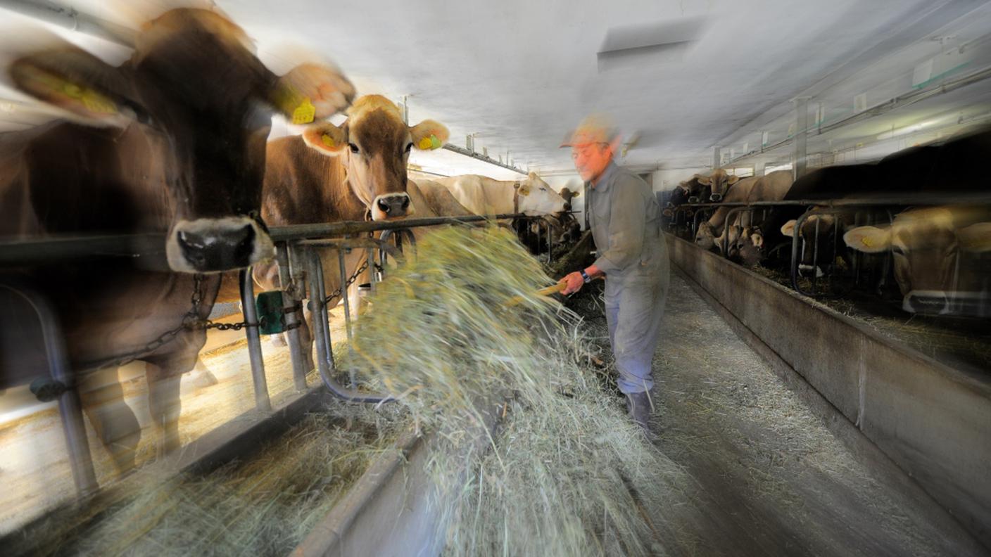 Redditi bassi e lavoro difficile, secondo l'associazione, allontanano le giovani leve