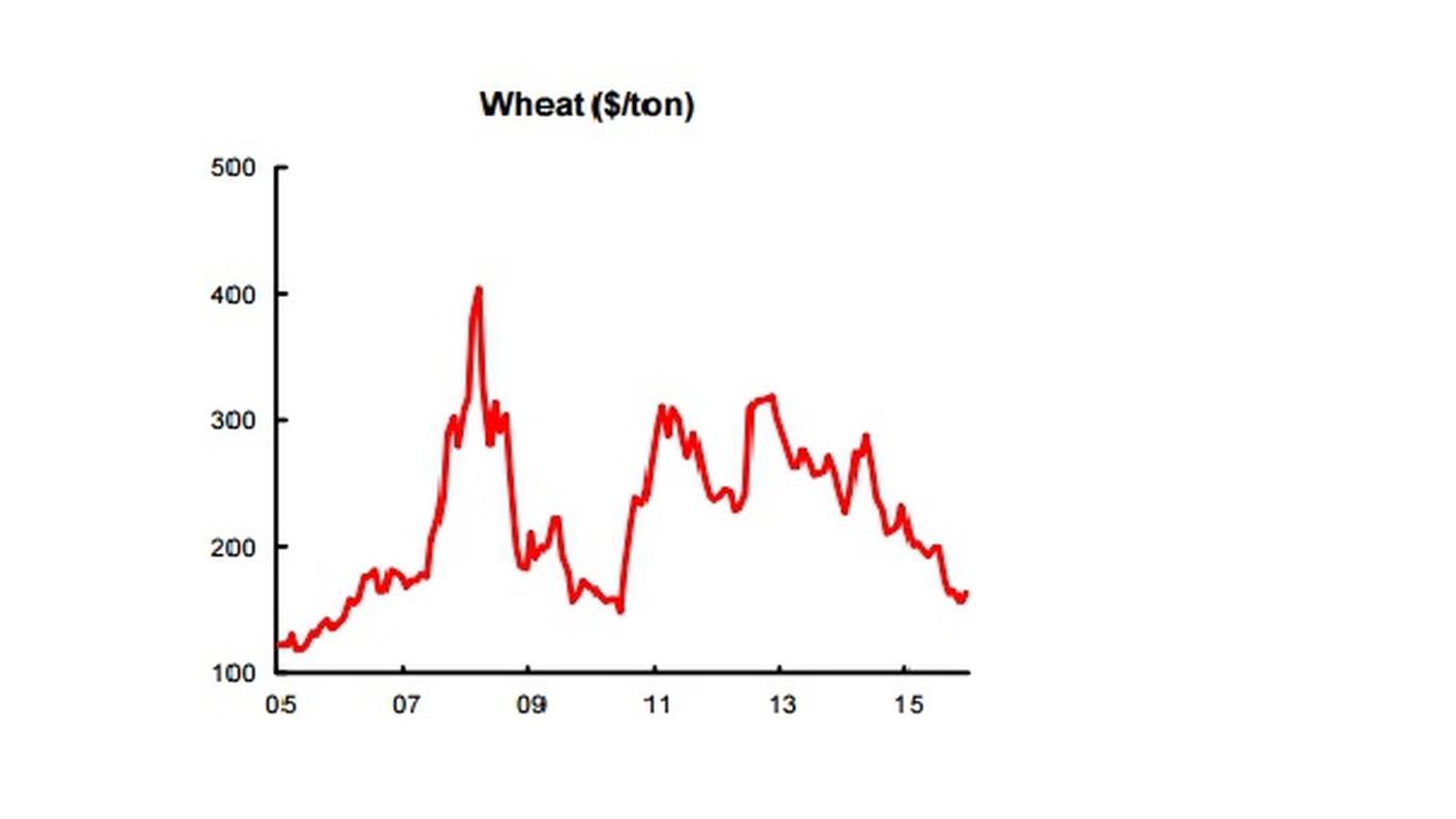 L'evoluzione del prezzo del frumento dal 2005 a oggi