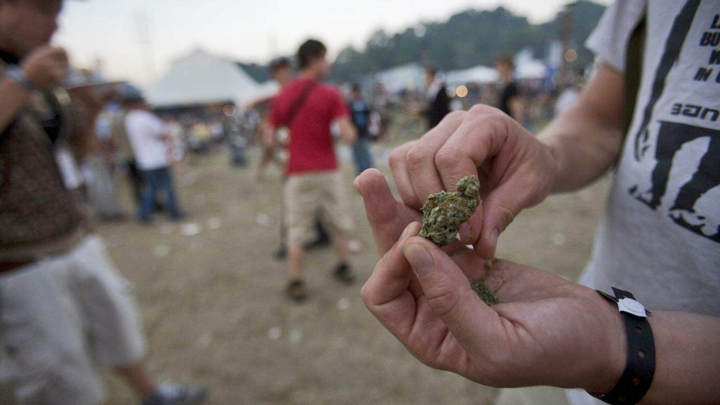 La cannabis è la sostanza illegale più diffusa, soprattutto fra i giovani
