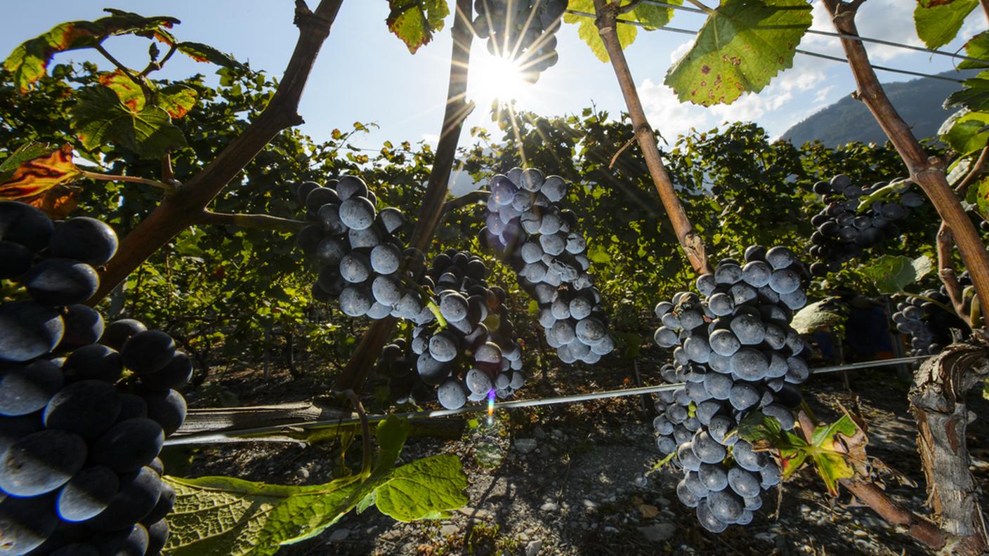L'uomo aveva incassato oltre 400'000 franchi di indennità