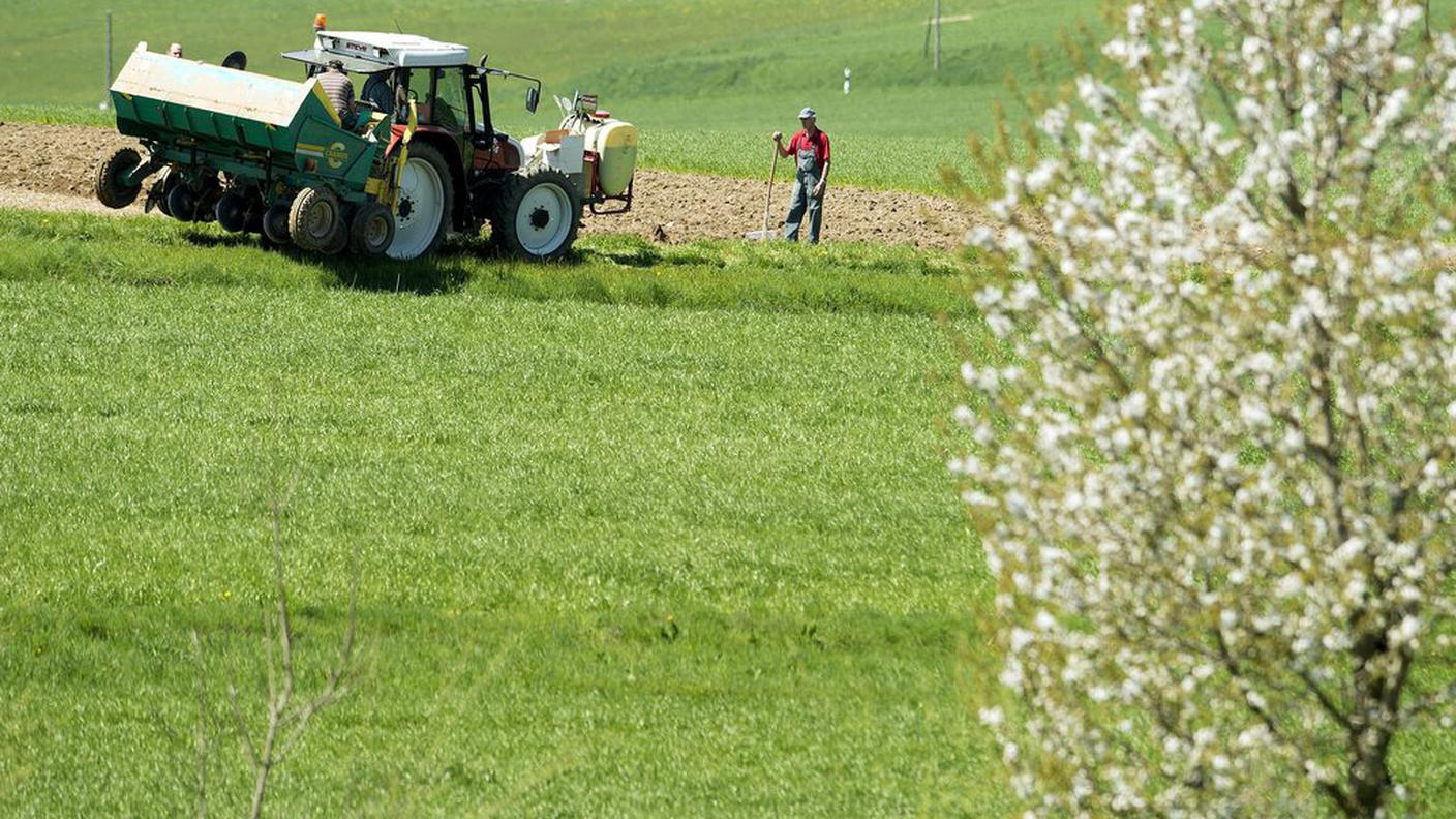 Si lamenta troppa burocrazia nel settore