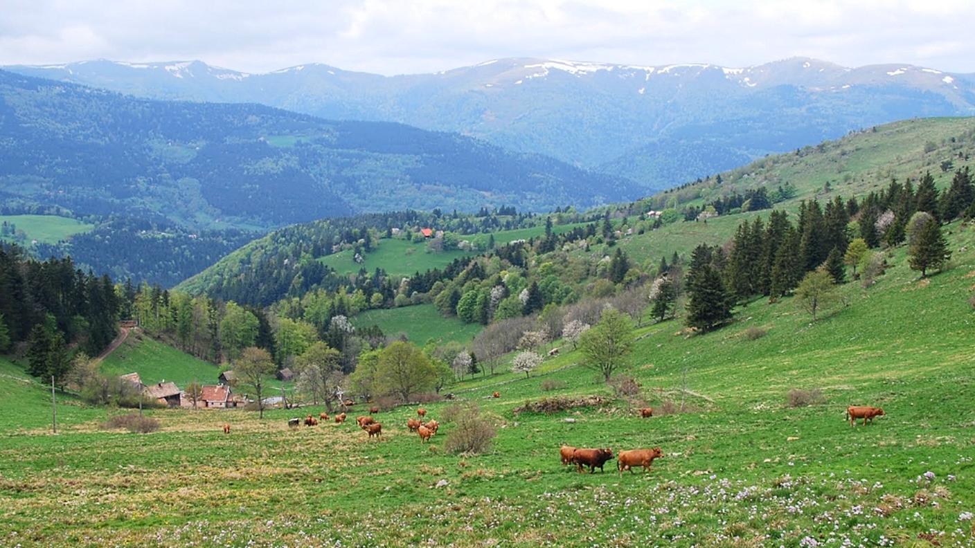 La regione nei pressi di Sondernach, dove si è schiantato l'apparecchio