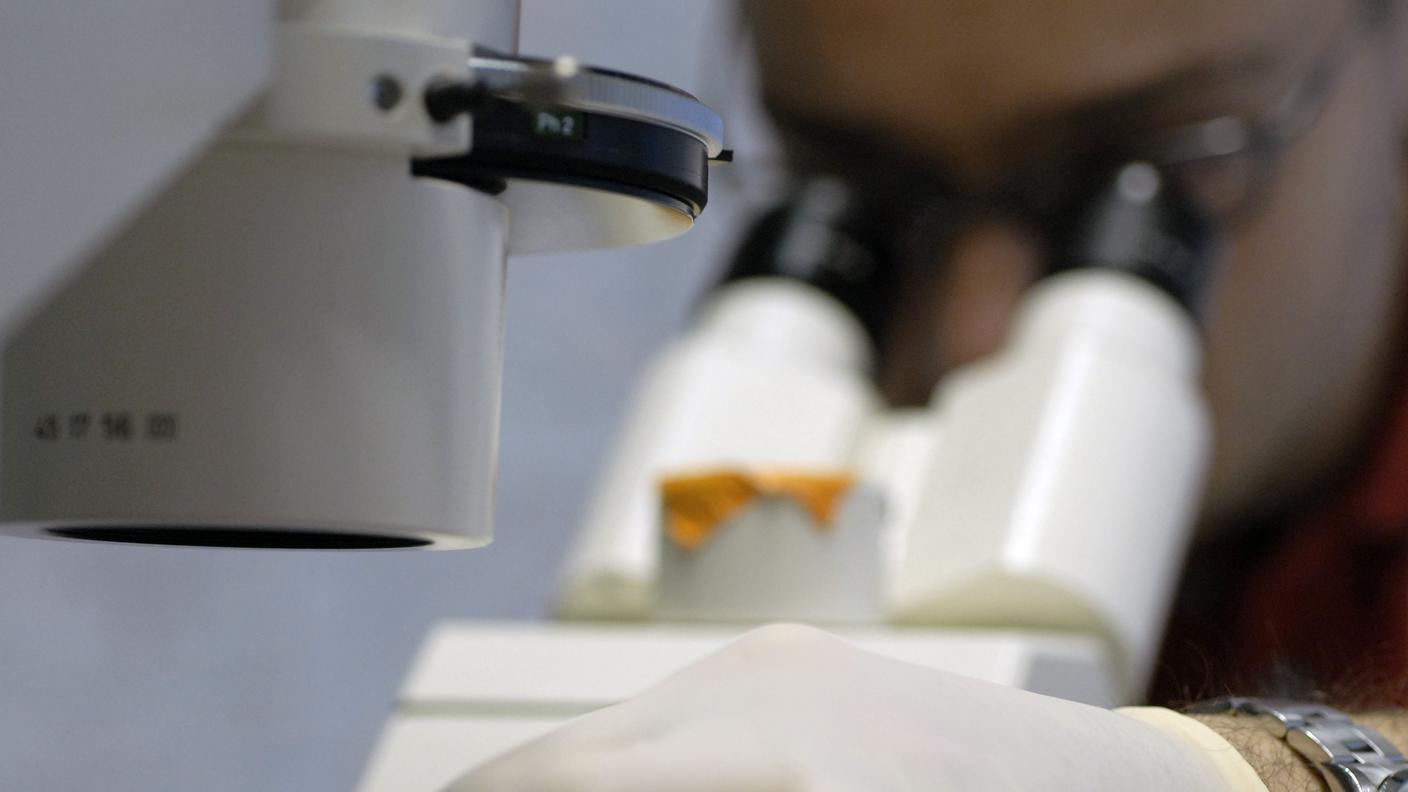 Il Consiglio federale è favorevole, ma con regole severe in materia