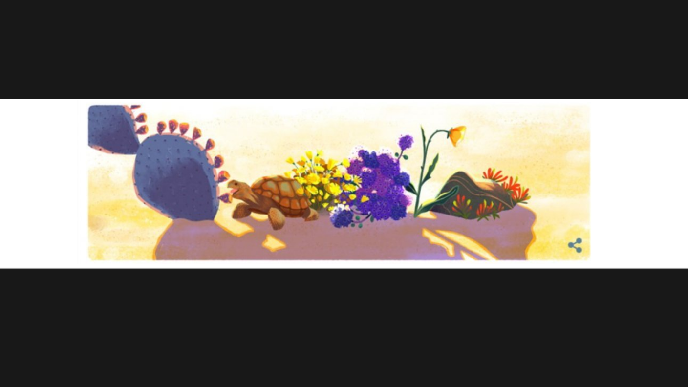 il deserto e una tartaruga in uno dei doodle di Google di oggi