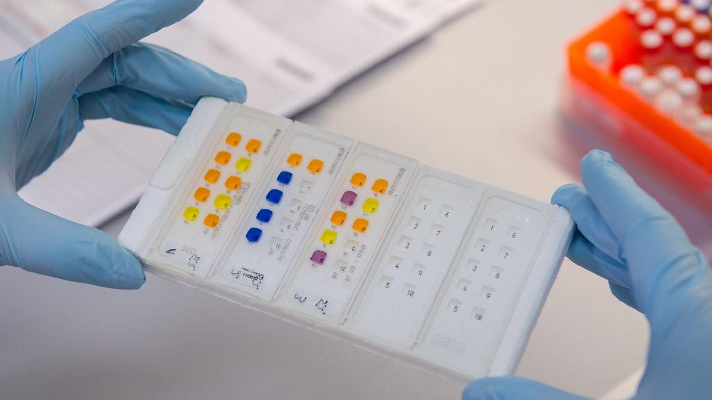 Possibile verificare già prima della gravidanza la presenza di malattie ereditarie