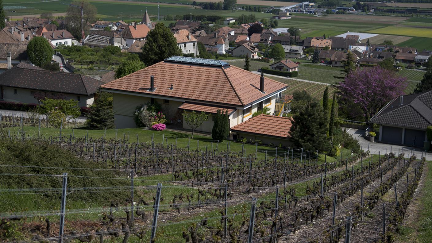 Un'immagine della parcella viticola ceduta dal ministro al fratello. Essa si trova a Bursins (VD), località d'origine del consigliere federale