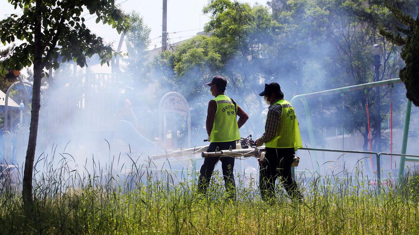 Lotta alla zanzara aedes in Corea del Sud