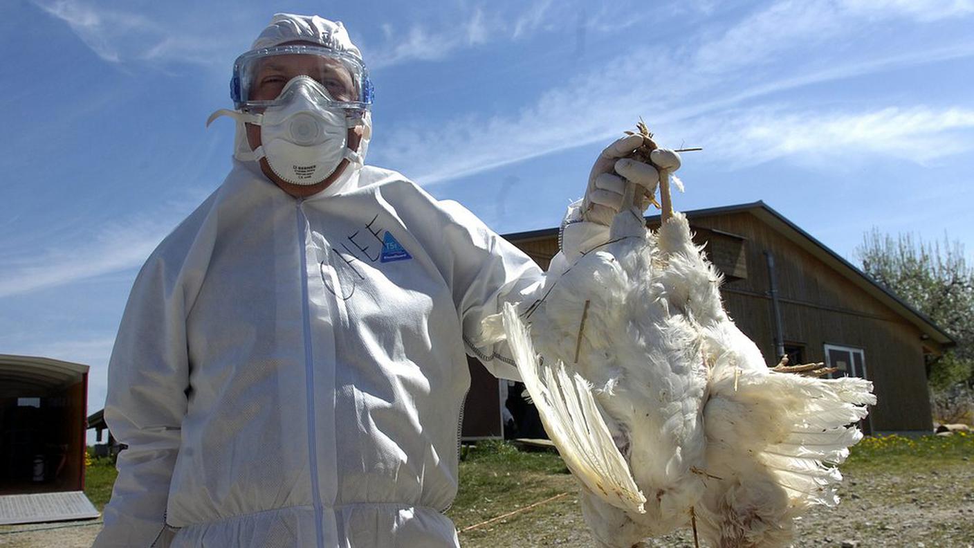 La misura fa seguito alla scoperta di focolai nella zona di Ferrara