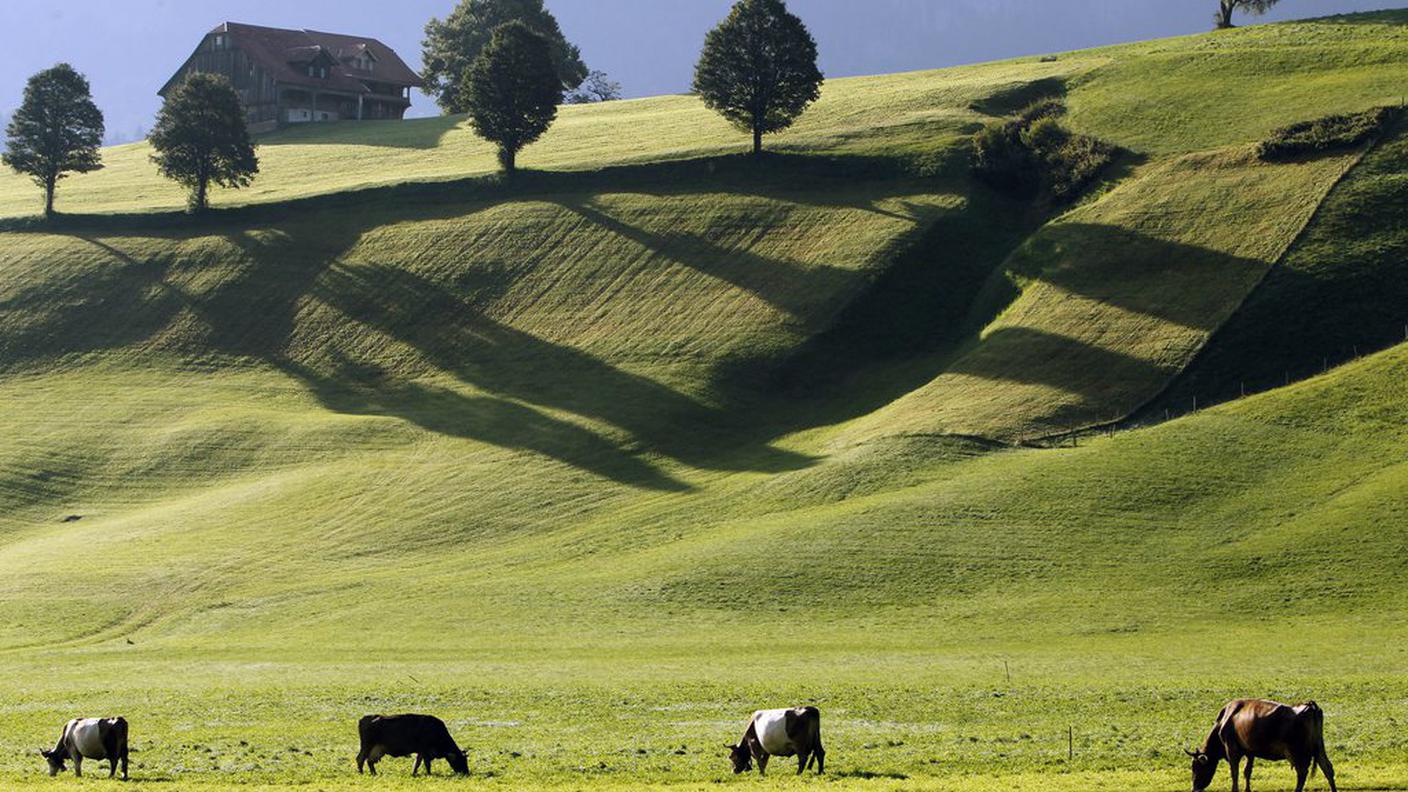 Forse qualche mucca in meno, ma nessuno stravolgimento