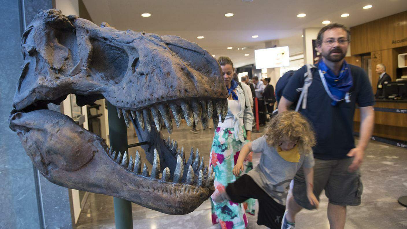 Piccoli e grandi s'interessano ai dinosauri "ginevrini"