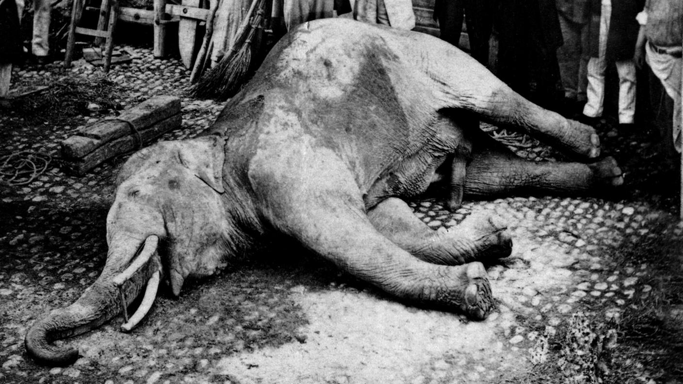I fatti di Morat del 1866 avevano profondamente colpito il pubblico elvetico