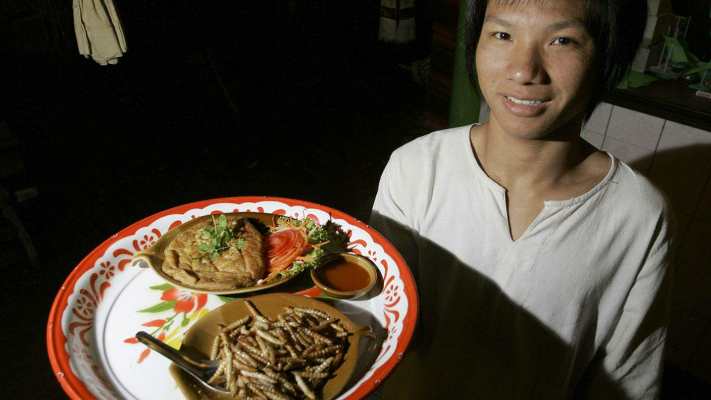 La cucina thailandese ha già scelto i suoi insetti