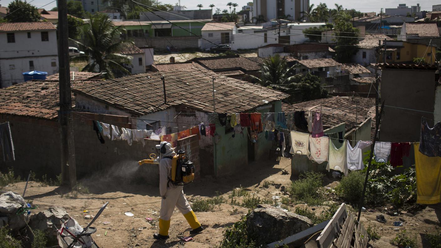 Rio: disinfestazione in vista delle olimpiadi 