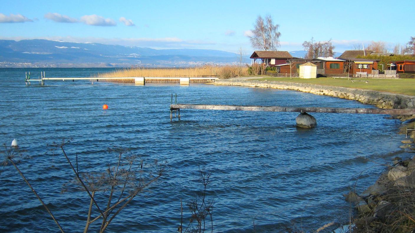 Una riva del lago, nei pressi della località friburghese