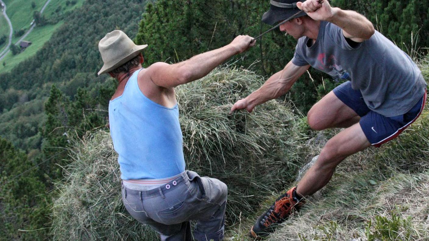 Far fieno non è un lavoro facile