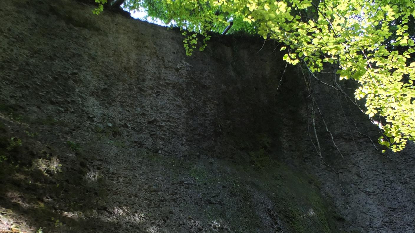 Il luogo della caduta