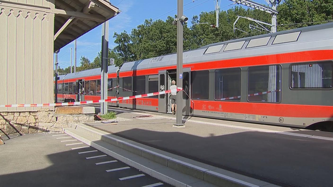 Il treno fermo in stazione a Salez