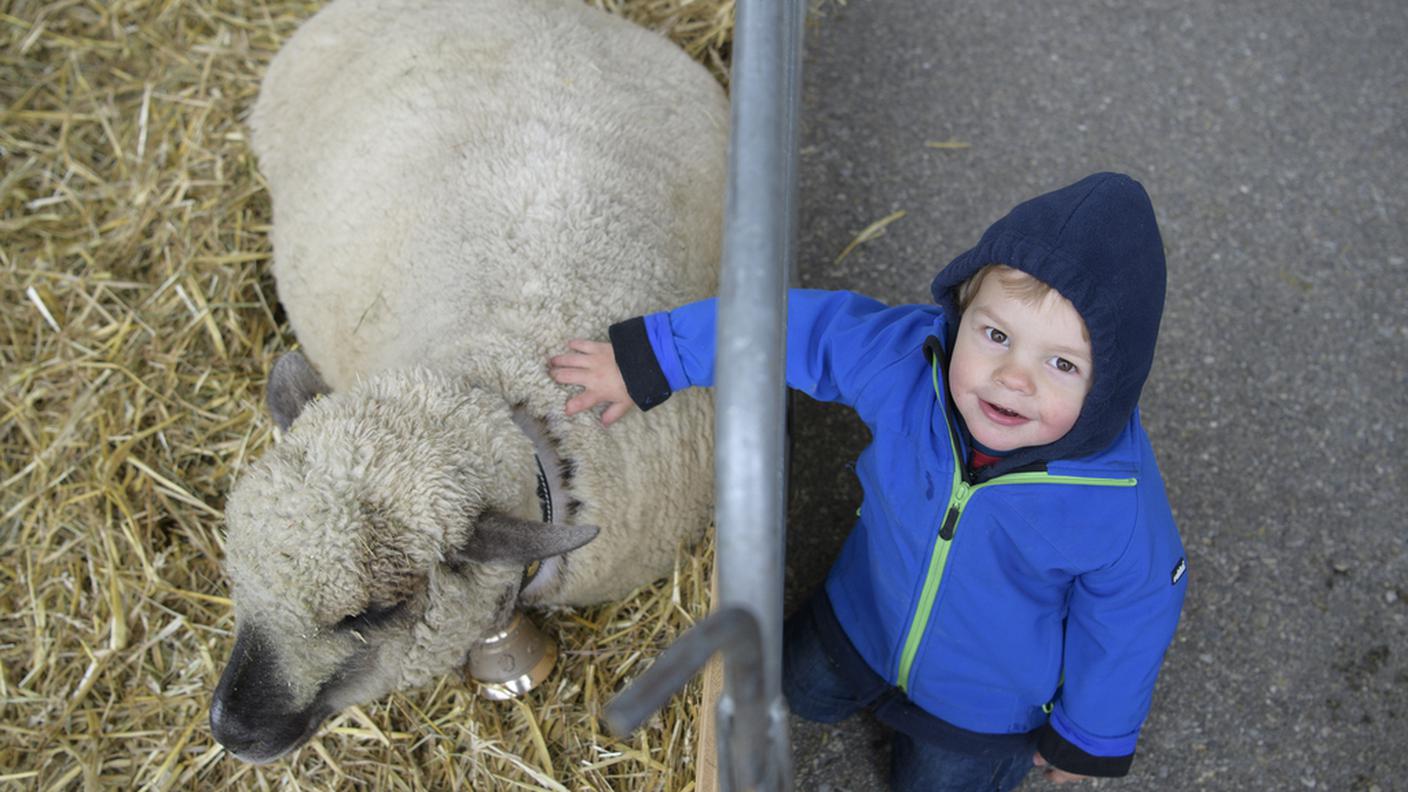 Un evento per tutti, grandi e piccoli