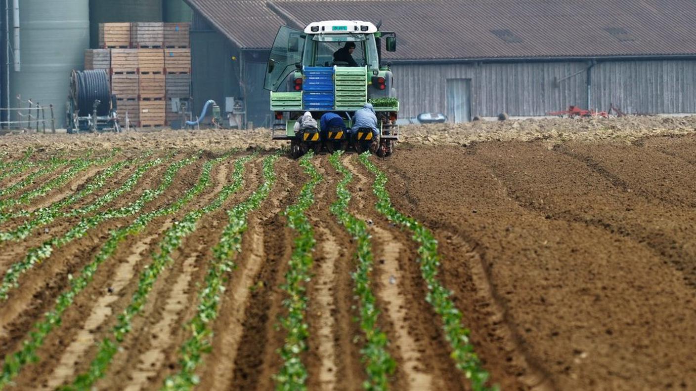 Il Consiglio nazionale si era espresso, invece, a favore dell'iniziativa