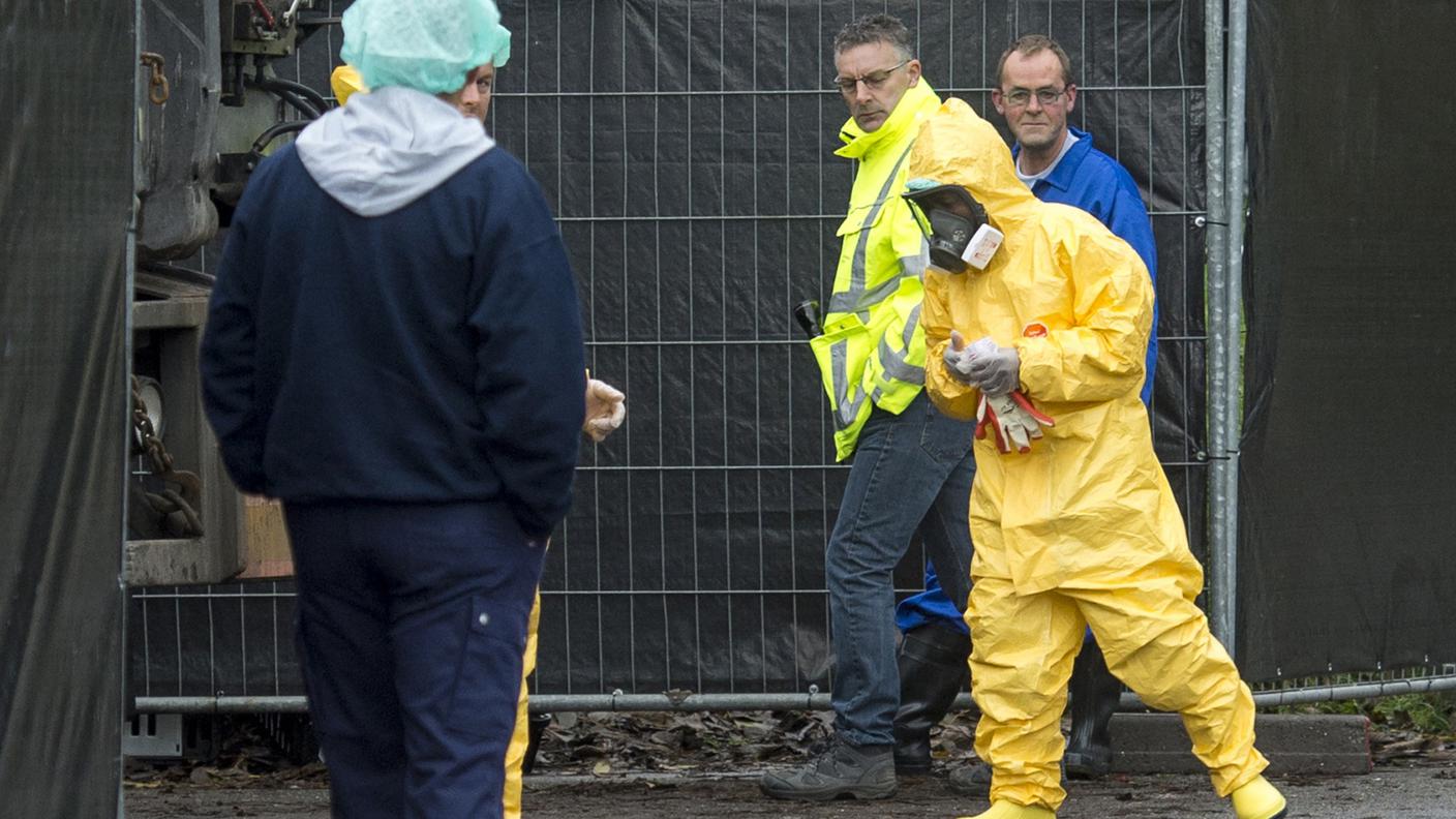 L'influenza aviaria torna d'attualità in Svizzera e in Francia