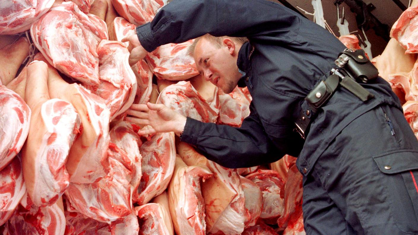 Una guardia di confine esamina un carico di carne