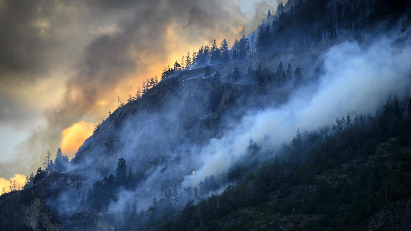 In fiamme circa 100 ettari di foresta