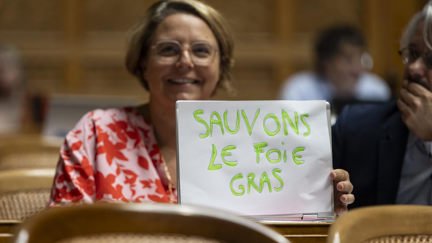 La consigliera nazionale Ada Marra durante il dibattito in aula