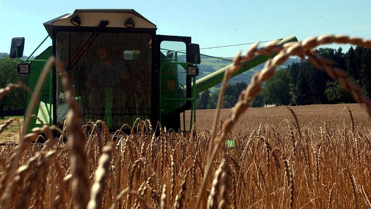 Il comitato interpartitico chiede nuove strategie per la sicurezza alimentare