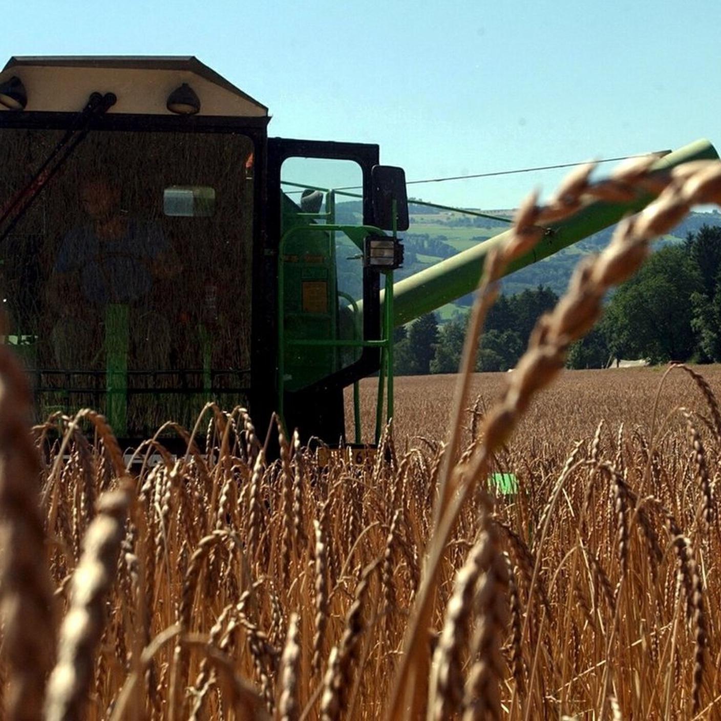 Il comitato interpartitico chiede nuove strategie per la sicurezza alimentare