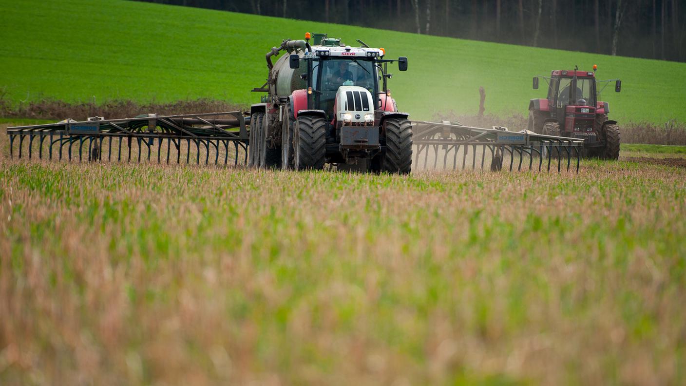 Alla ricerca di una maggiore armonia con la natura