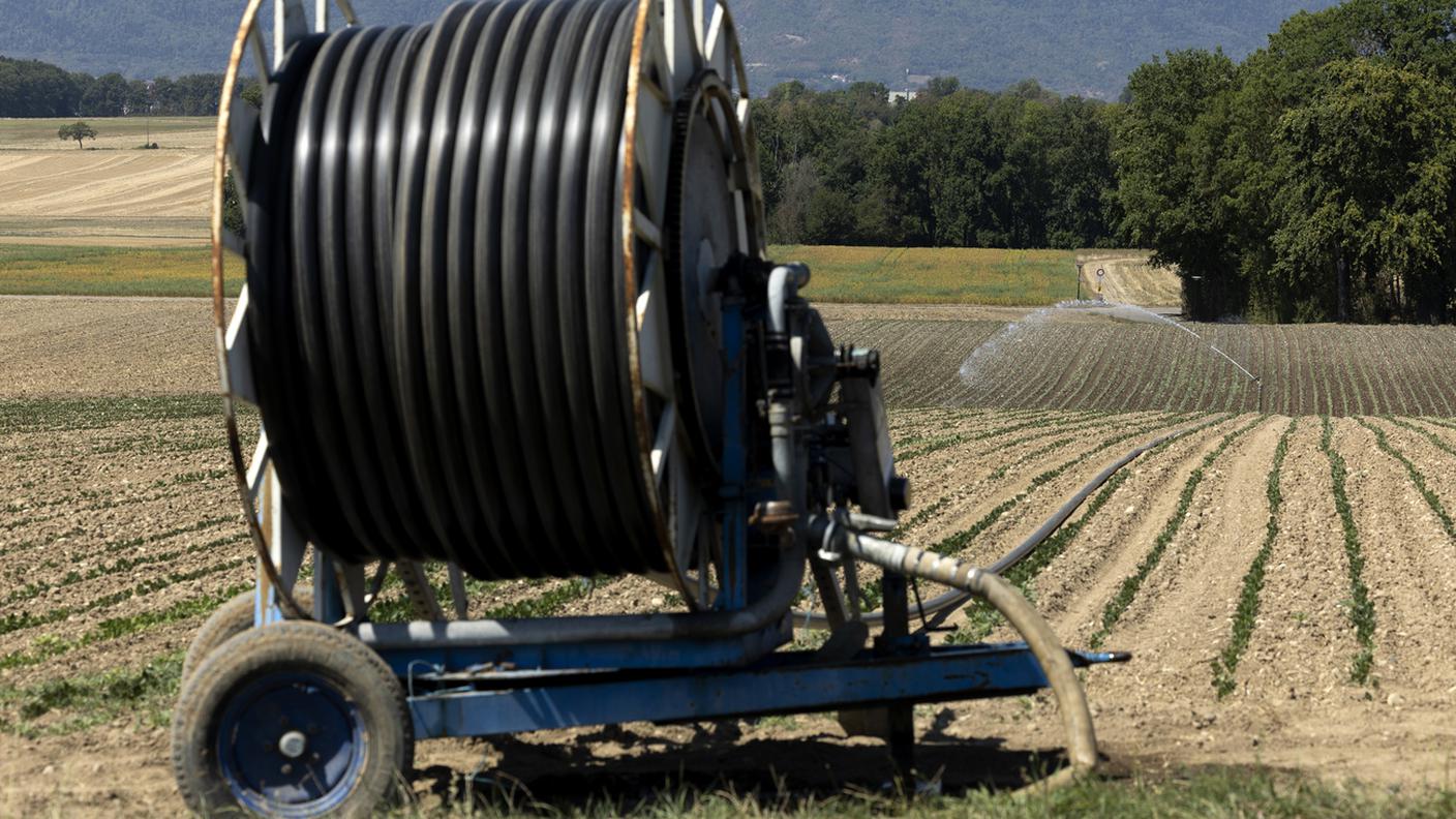 agricoltura siccità.jpg
