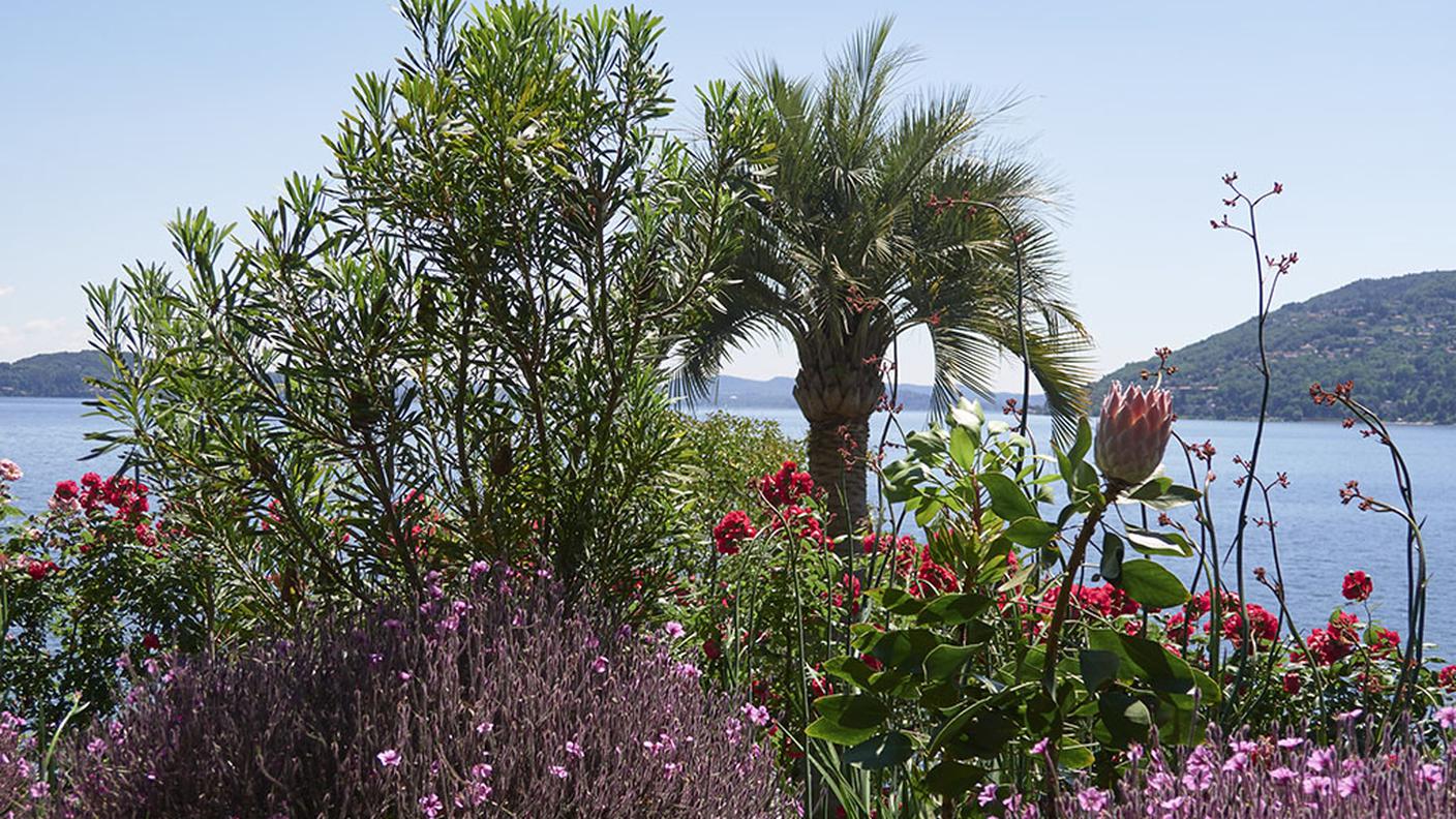 Isola Madre (Italia)