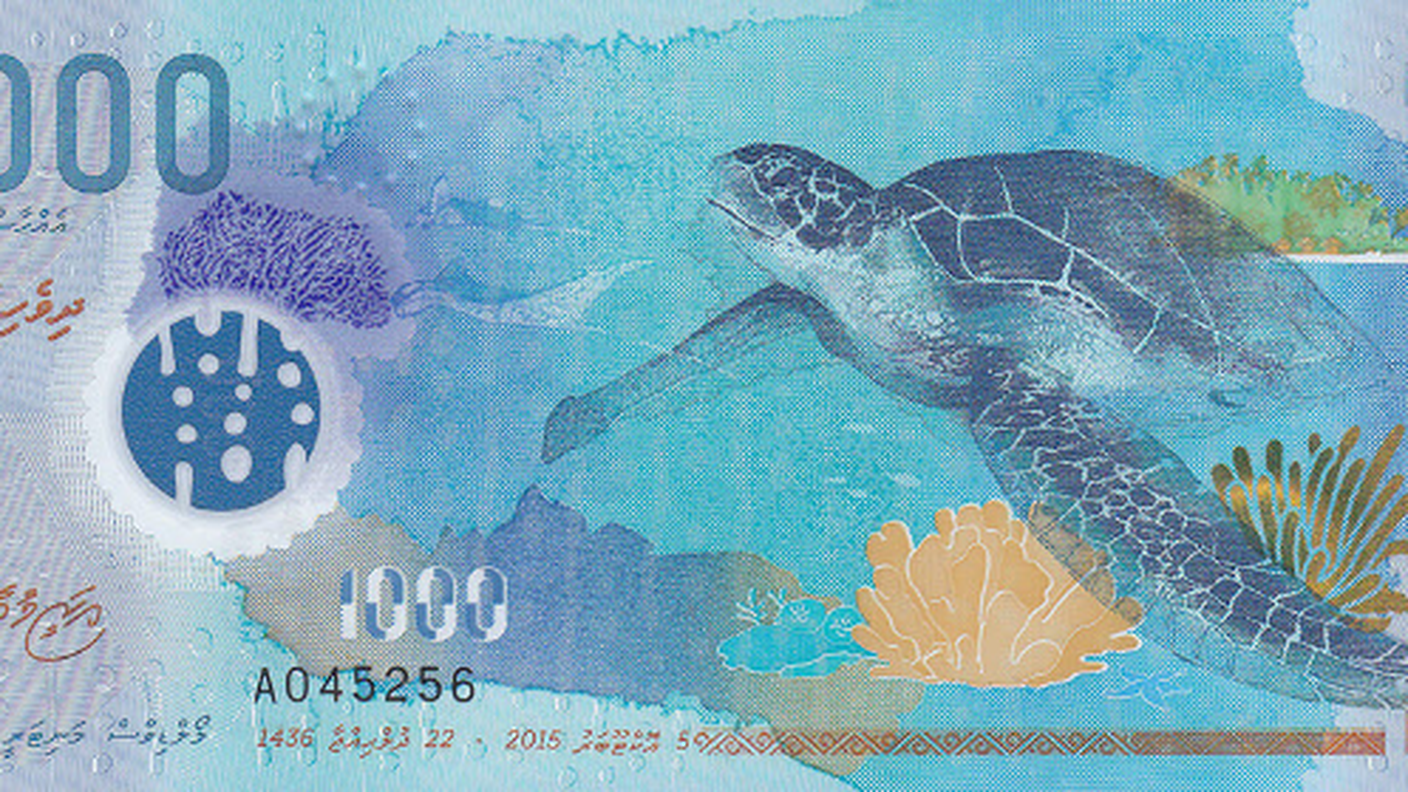 La banconota delle Maldive, seconda classificata