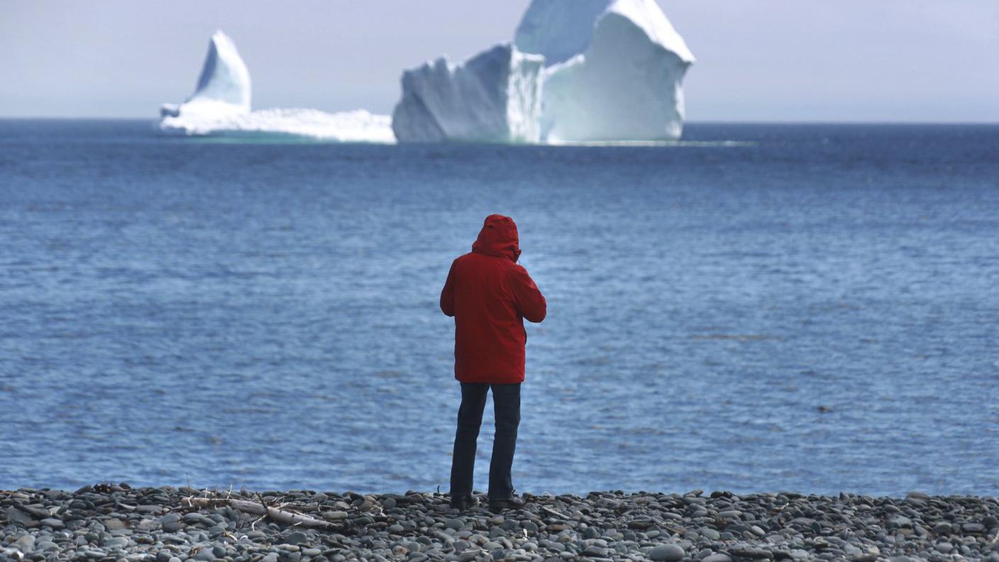 Un iceberg a Terranova