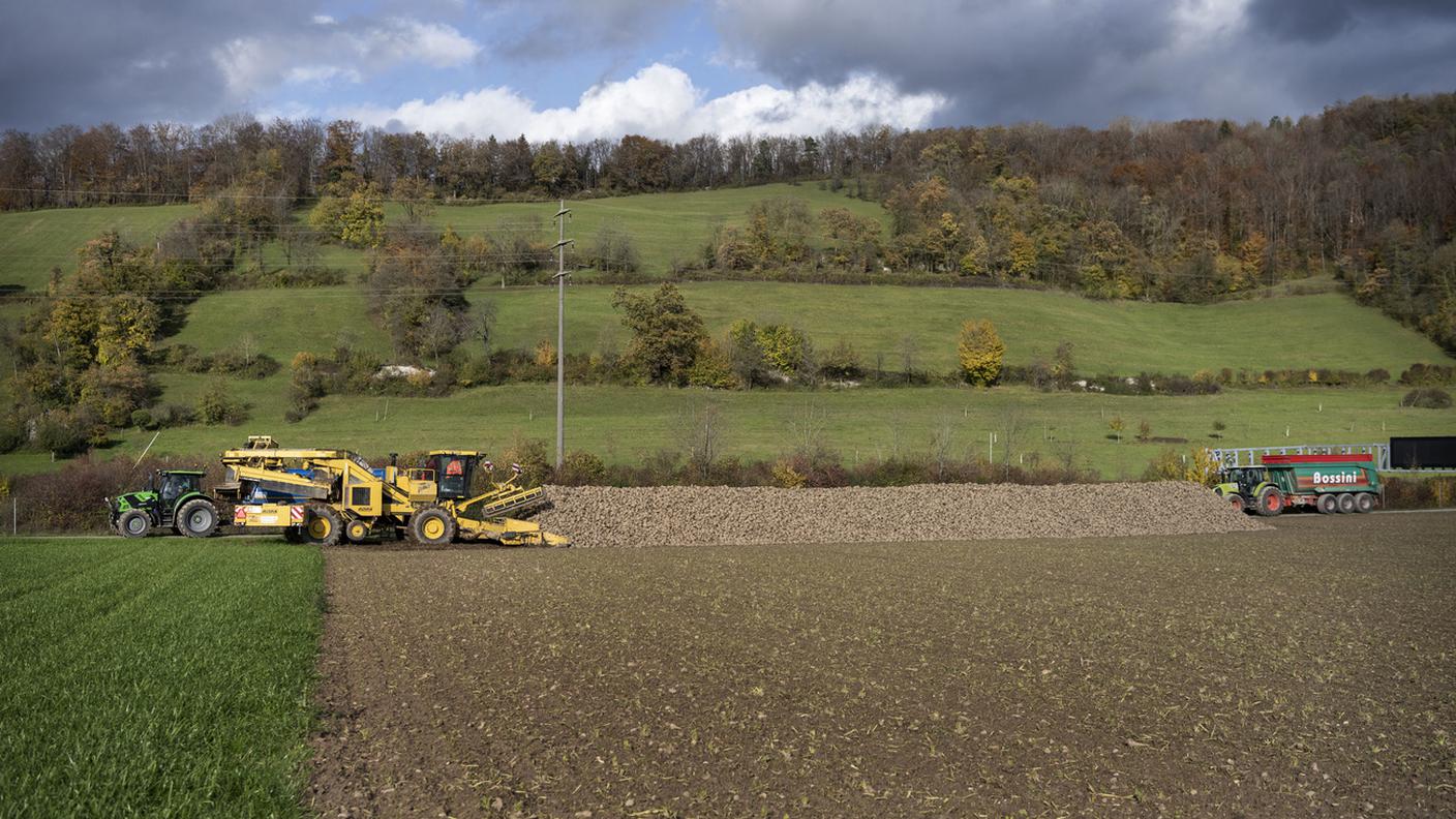 In Svizzera sufficiente terreno agricolo di qualità